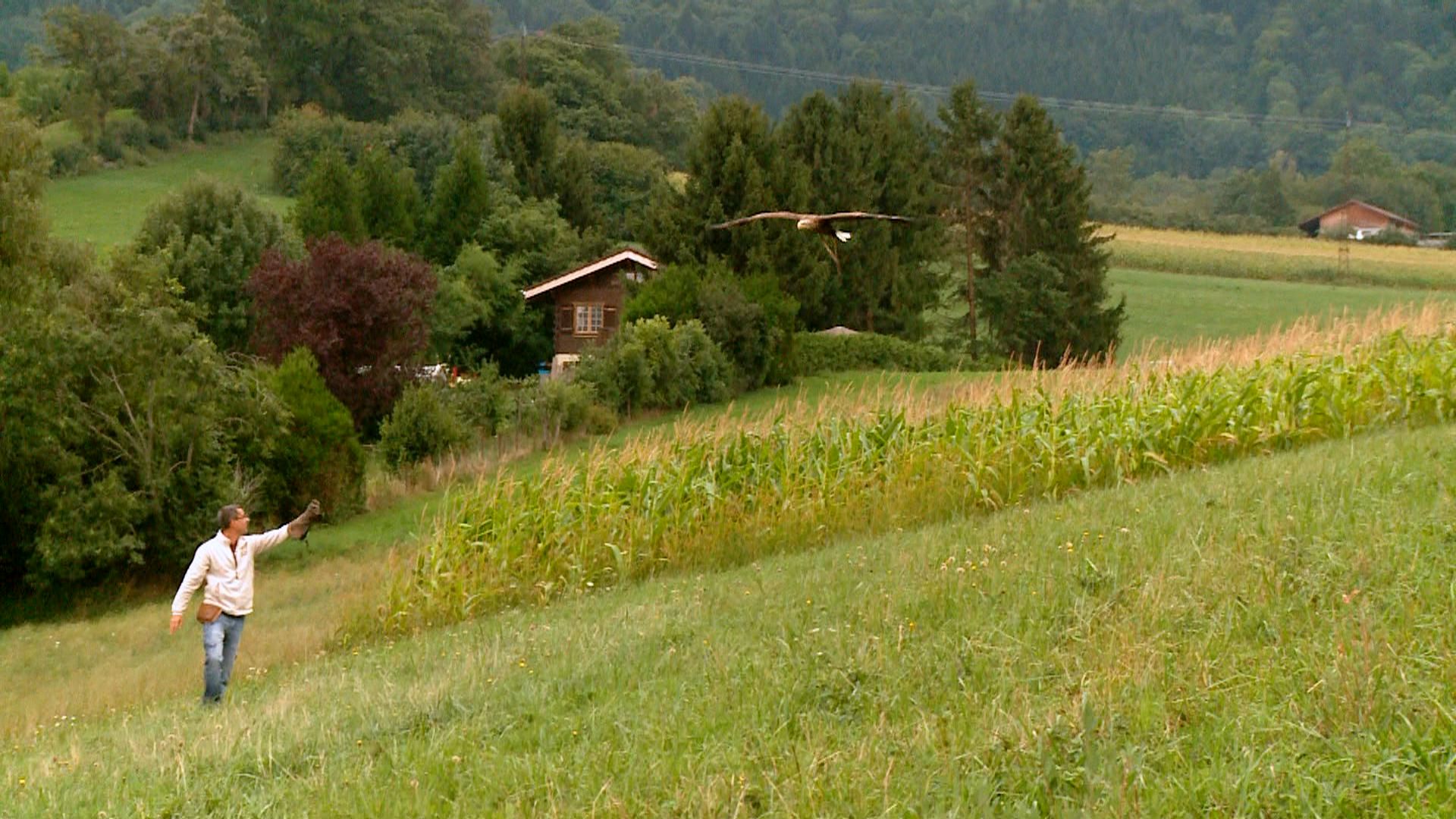 Au P’tit Bonheur la France (2) Ep4 – Sujet 2 – Les aigles de la liberté