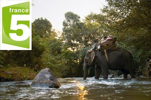 « Les derniers Hommes Elephants » sur France 5