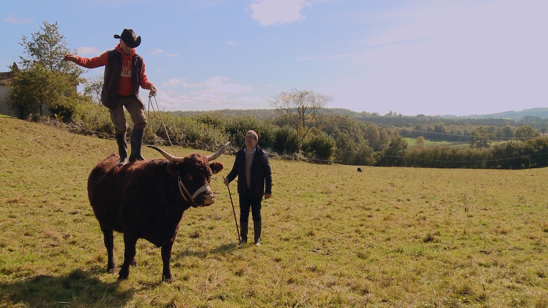 Au p’tit bonheur la France (4) Épisode 1 – Danse avec les vaches