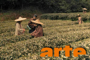 Tea War – broadcasted on ARTE France