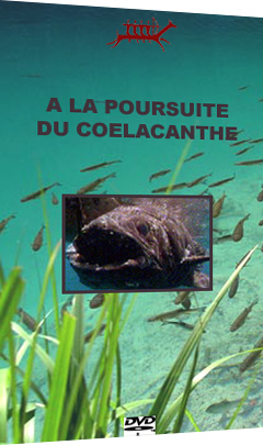 A la poursuite du Coelacanthe