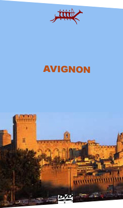 The city of Avignon