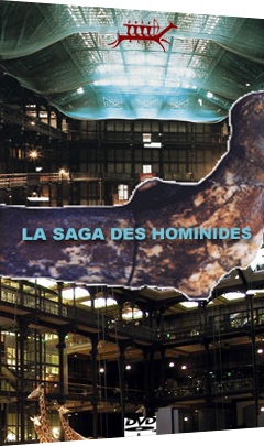 La saga des Hominides