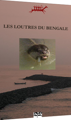 Les loutres du Bengale