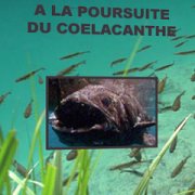 In search of the Coelacanth