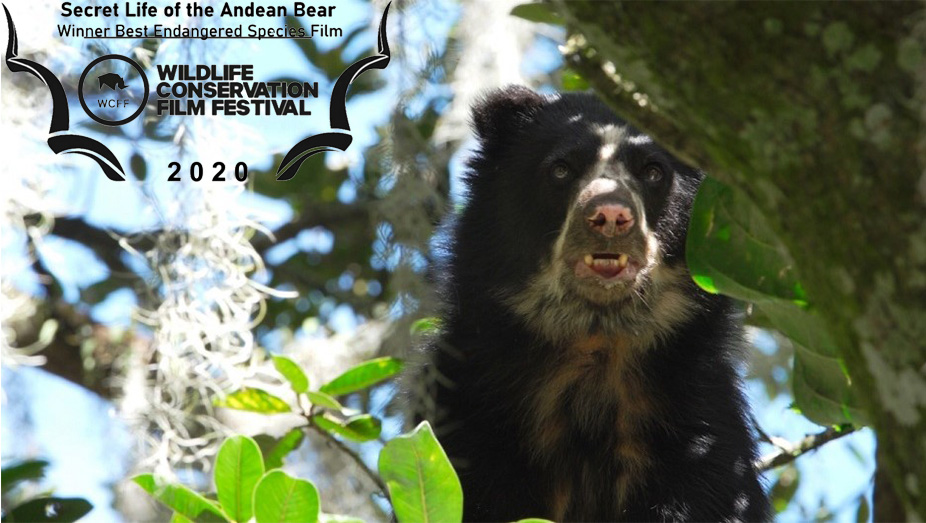 The Secret Life of the Spectacled Bear